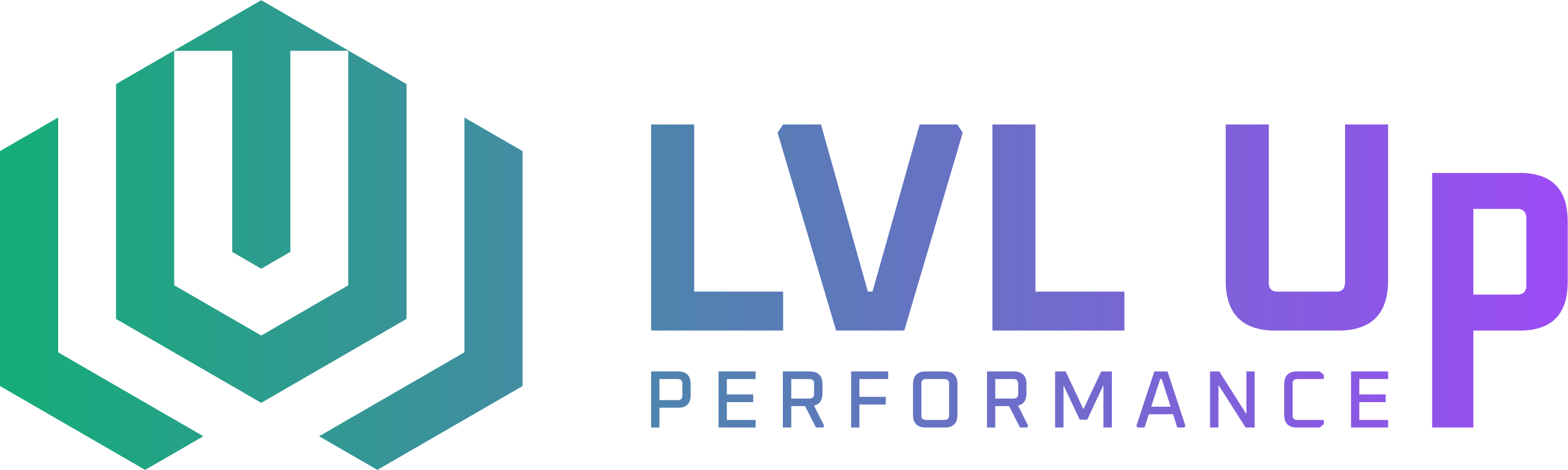 LVL Up Performance — Built by Minuswires